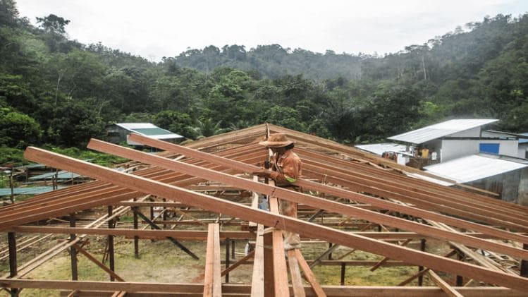 Kayu Ulin Sebagai Material Rumah Adat Kalimantan Timur